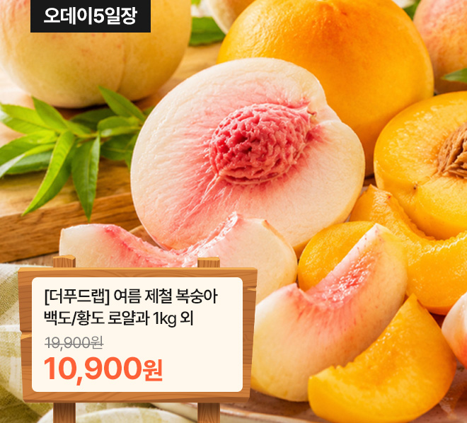 메인배너
